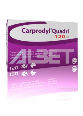 Carprodyl Quadri comprimidos antiinflamatorio y analgésico para perros, laboratorio Ceva