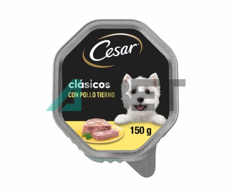 Cesar Clasicos Pollo Tarrinas, alimentación húmeda para perros, marca Mars Petcare