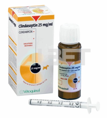 Clindaseptin 22ml antibiótico para gatos y perros en suspensión oral