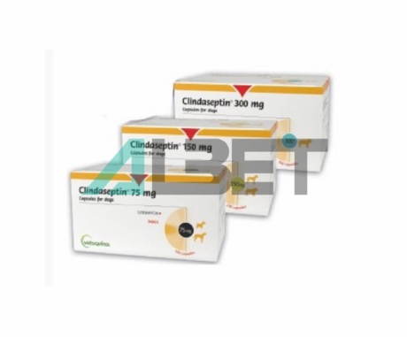 Clindaseptin cápsulas de antibiótico para perros, laboratorio Vetoquinol