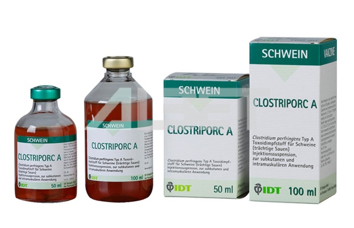 Clostriporc A vacuna Clostridium para cerdos, laboratorio Ceva