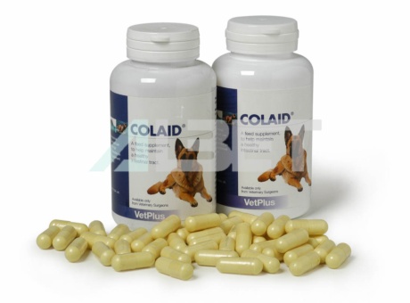 Cápsulas prebióticas para perros, marca Vetplus