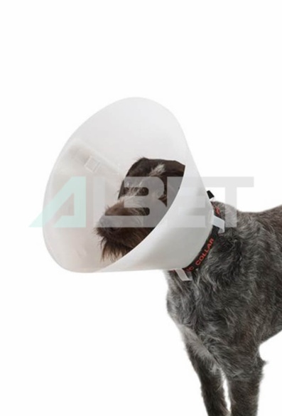 Collar Buster Opaco de la marca Kruuse, campana para perros y gatos