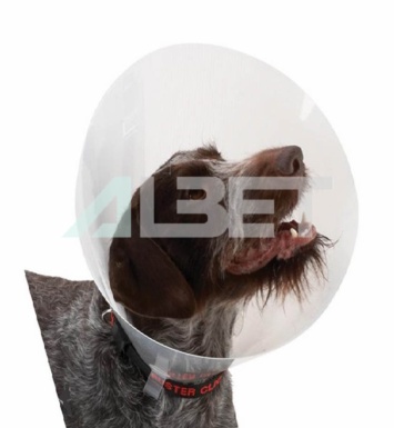 Collar Buster Transparent de la marca Kruuse, campana per gats i gossos