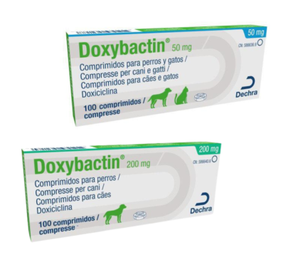 doxybactin antibiotico