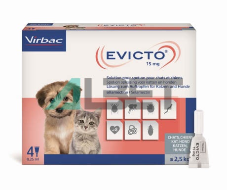 Pipetas antiparasitaries endectocidas para gatos y perros | Virbac