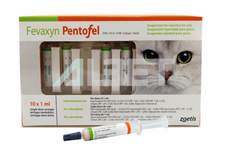 Vacuna pentavalent amb leucèmia per gats, marca Zoetis