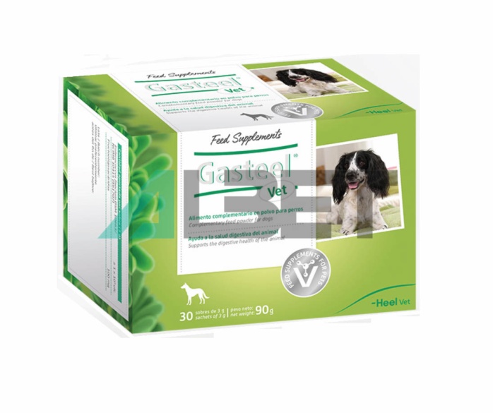 Gasteel Vet, polvo oral para la flora intestinal en perros, marca Heel