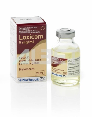 Loxicom Inyectable, antiinflamatorio y analgésico para gatos y perros, laboratorio Karizoo