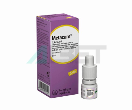 Metacam Supensión oral 0.5mg/ml, jarabe antiinflamatorio y analgésico para gatos y cobayas