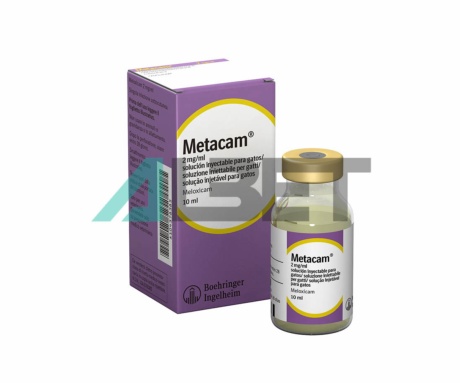 Metacam 2mg/ml, antinflamatorio inyectable para gatos, a base de meloxicam