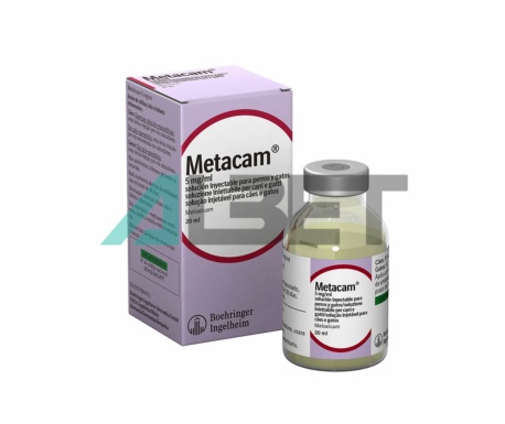 Metacam 5mg/ml antiinflamatori i analgèsic injectable per gats i gossos