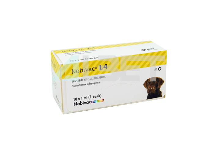 Vacuna contra la leptospirosis canina, marca MSD