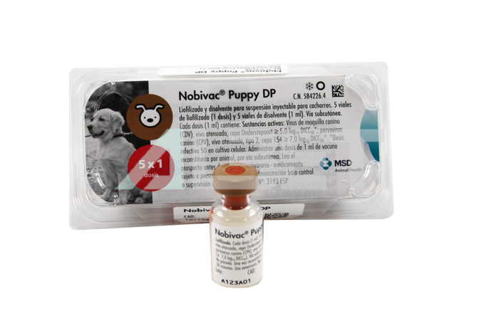 Нобивак DHPPI. Нобивак Puppy dp (1*10)(лицензия). Нобивак DHPPI Паппи. Нобивак Паппи для щенков. Купить прививку для собак нобивак