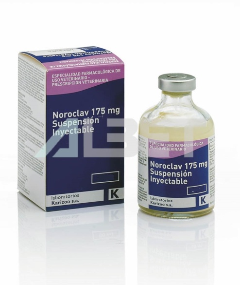 Noroclav antibiòtic injectable per animals, laboratori Karizoo