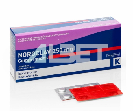 Noroclav pastillas antibiótico para perros, laboratorio Karizoo