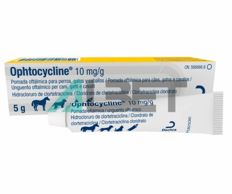 Ophtocycline pomada oftàlmica antibiòtica per gats i gossos, marca Dechra