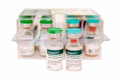 Vacuna para vacas: rotavirus, coronavirus, E.coli, laboratorio Zoetis