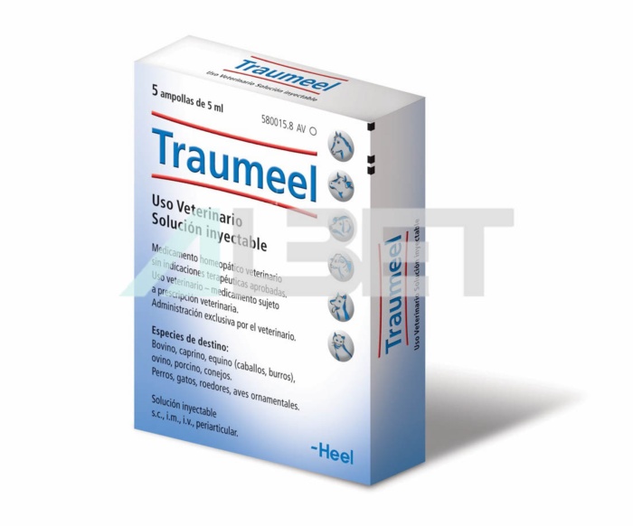 Traumeel, homeopatía veterinaria inyectable articular, marca Heel