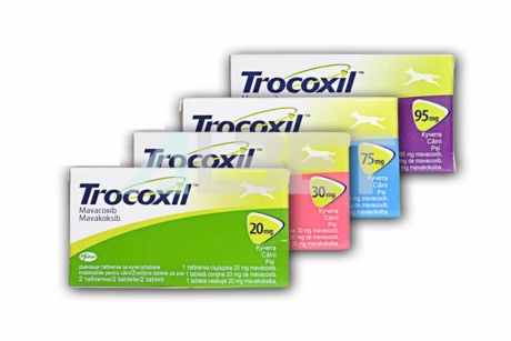 Trocoxil comprimits, antiinflamatori de llarga durada