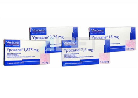 Ypozane, comprimidos para la hipertrofia prostática en perros, Virbac