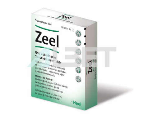 Zeel, homeopatía veterinaria articular, marca Heel