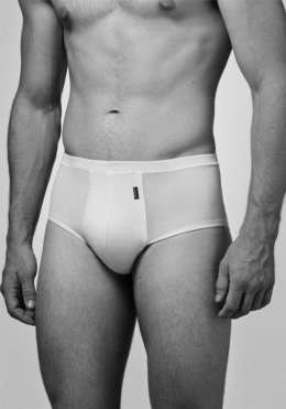 File:White fly-front Briefs.jpg - Wikipedia