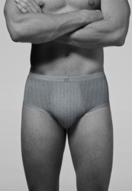 Pinstriped fly front Brief - Item1