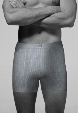 Pinstriped fly front Boxer - Item1