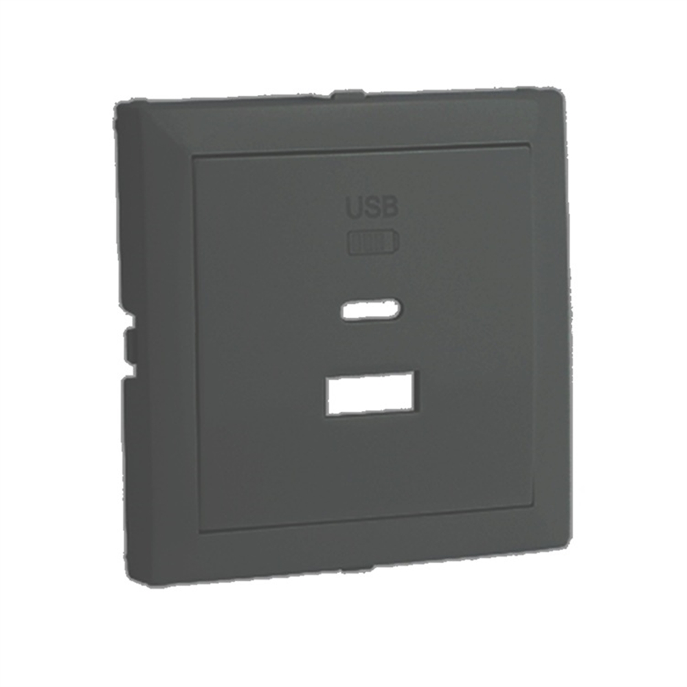 TAPA CARREGADOR DOBLE USB TIPUS A i TIPUS C. GRIS