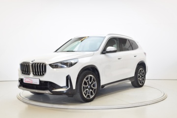 BMW X1 xDrive20d 163cv