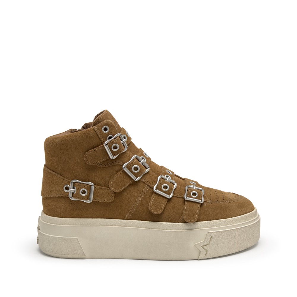 STARMOON BUCKLE Calf Suede Land - Ítem