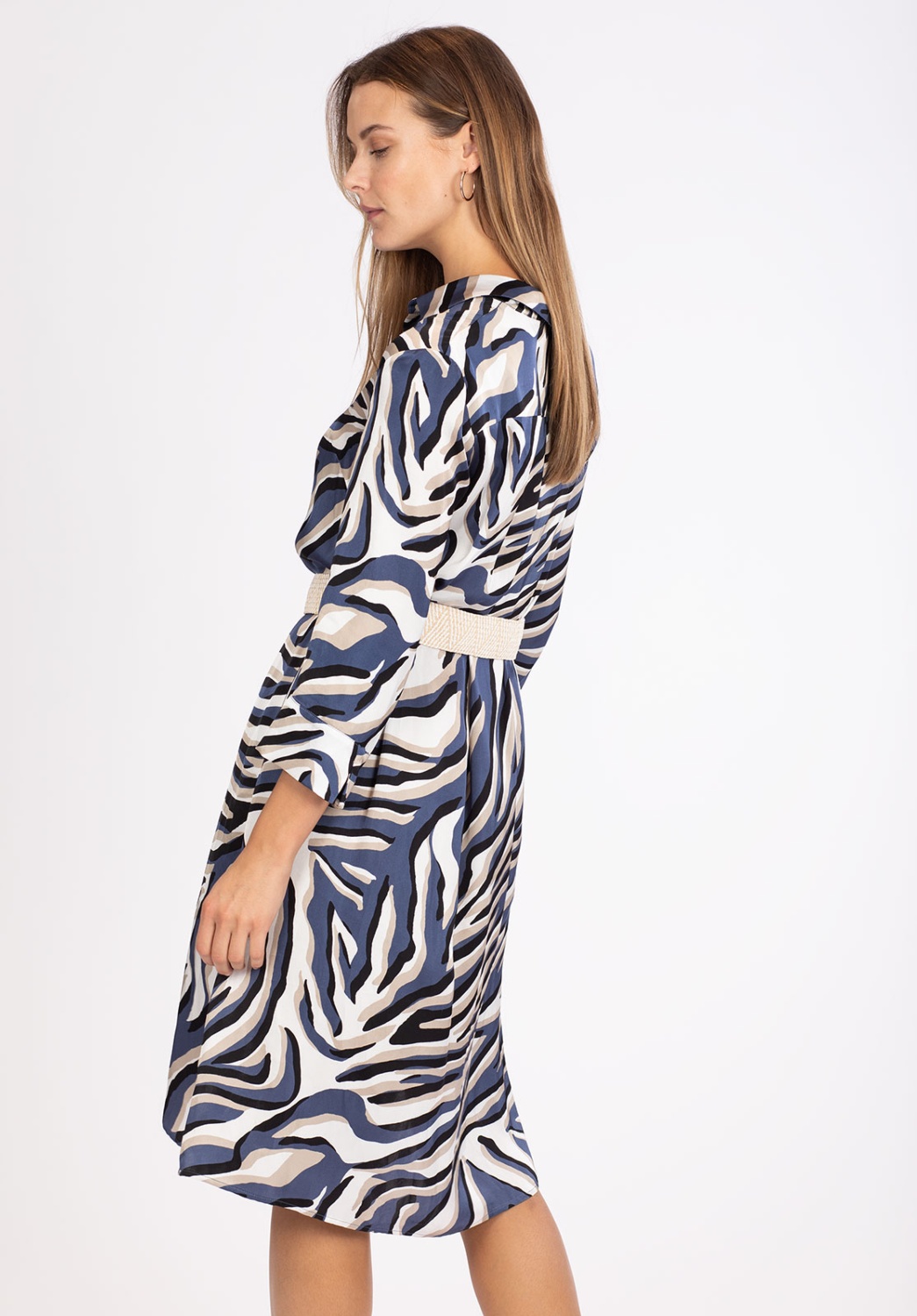 Satin Zebra Dress 4