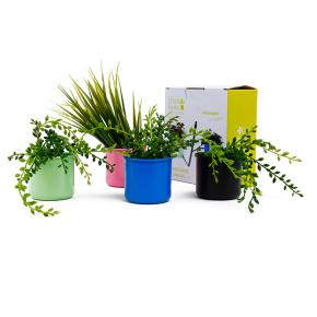PACK OF 4 SMALL FLOWER POTS IMAN DECO HF - Item2