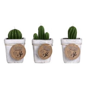 CACTUS CEMENT CANDLES HF