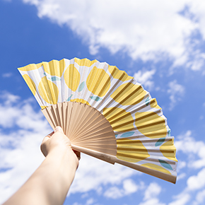 ABANICO BRISA CÍTRICA HF - Ítem6