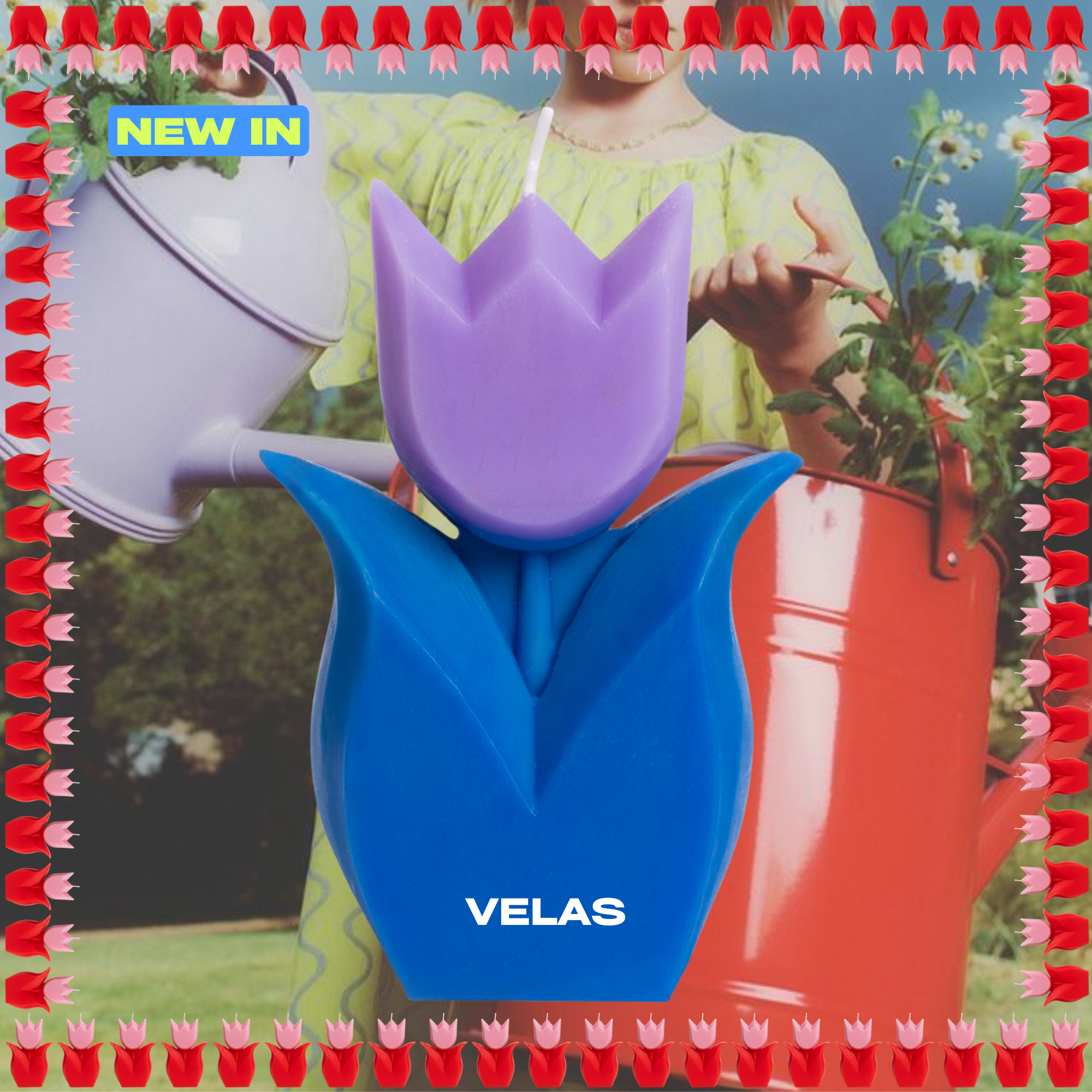 Velas