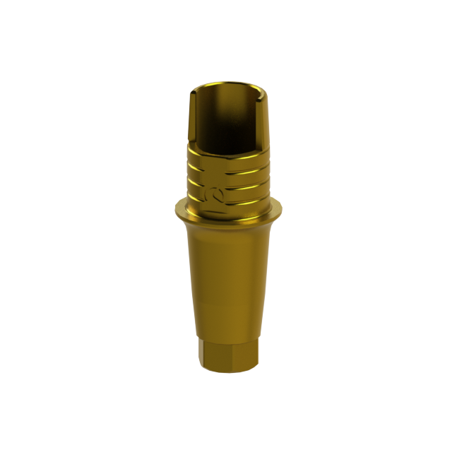 Dynamic TiBase NR XNP G3 Comp.0152