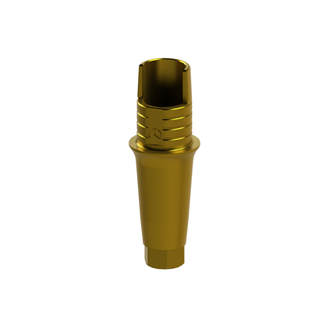 Dynamic TiBase NR XNP G4 Comp.0152