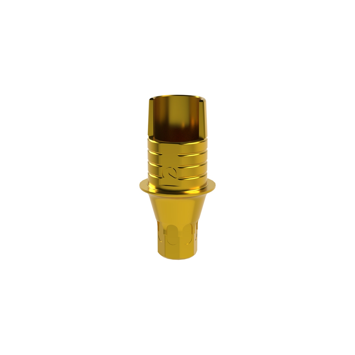Dynamic TiBase NR XNP G1 Comp.0222