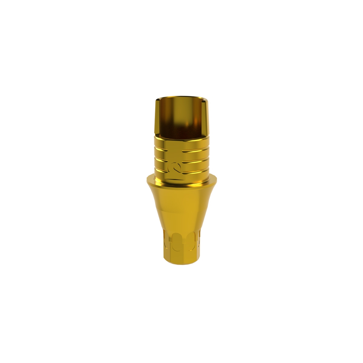 Dynamic TiBase NR XNP G2 Comp.0222