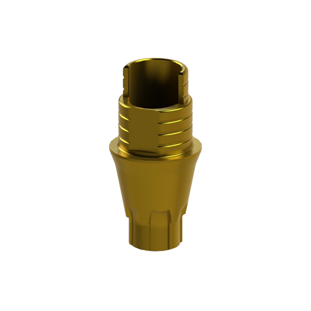 Dynamic TiBase NR G2 Comp.0007