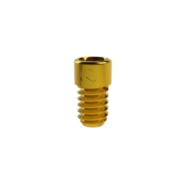 DAS MU4.0 Dynamic Screw, M2 L4.2mm 25N·cm