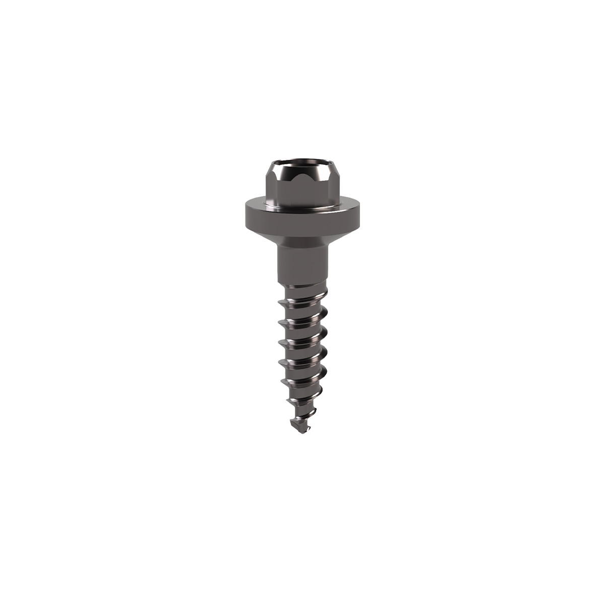 DAS Anchor screw 10mm