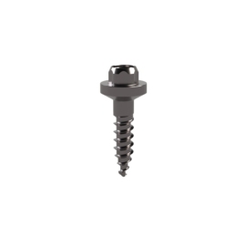 DAS Anchor screw 10mm
