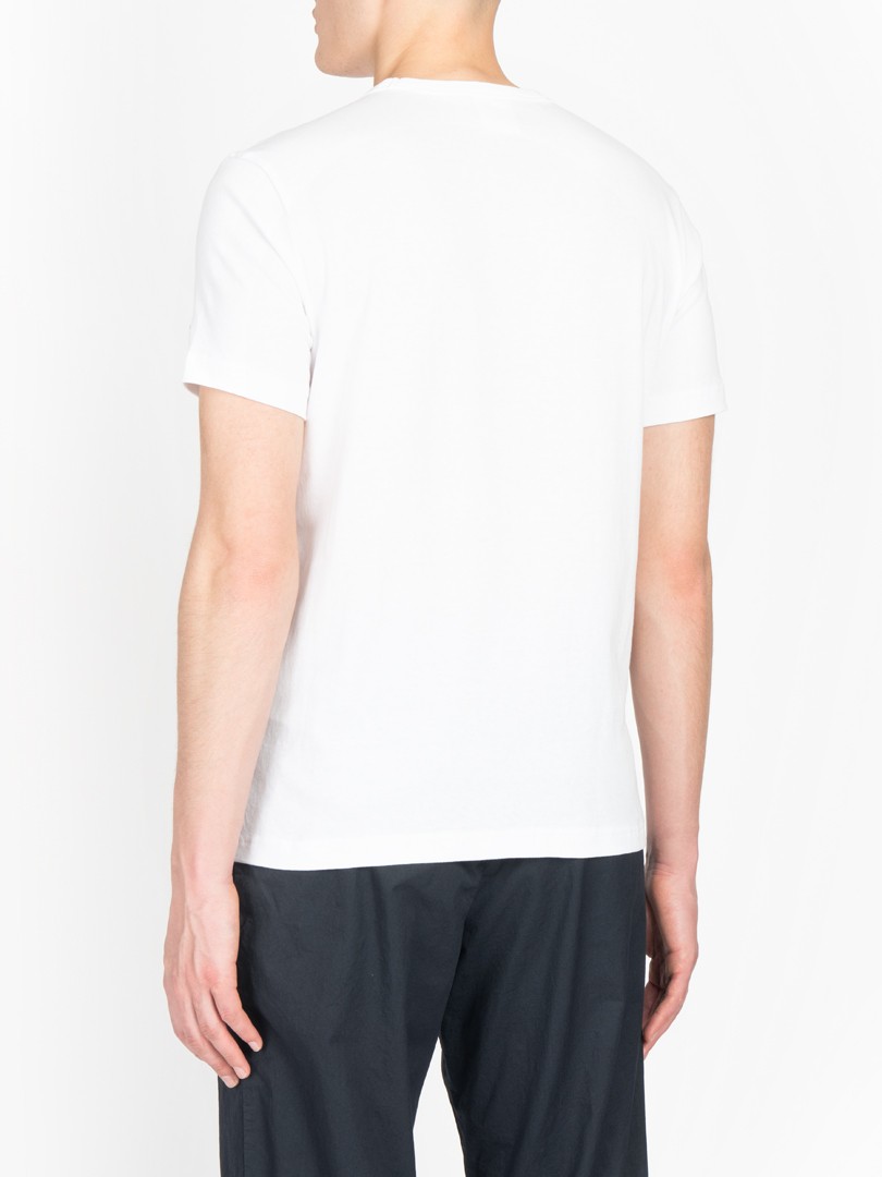 camisetas champion