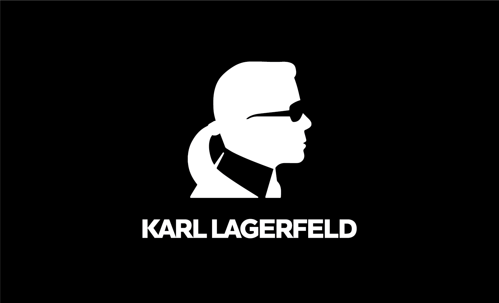 Venta > karl lagerfeld marca de ropa > en stock