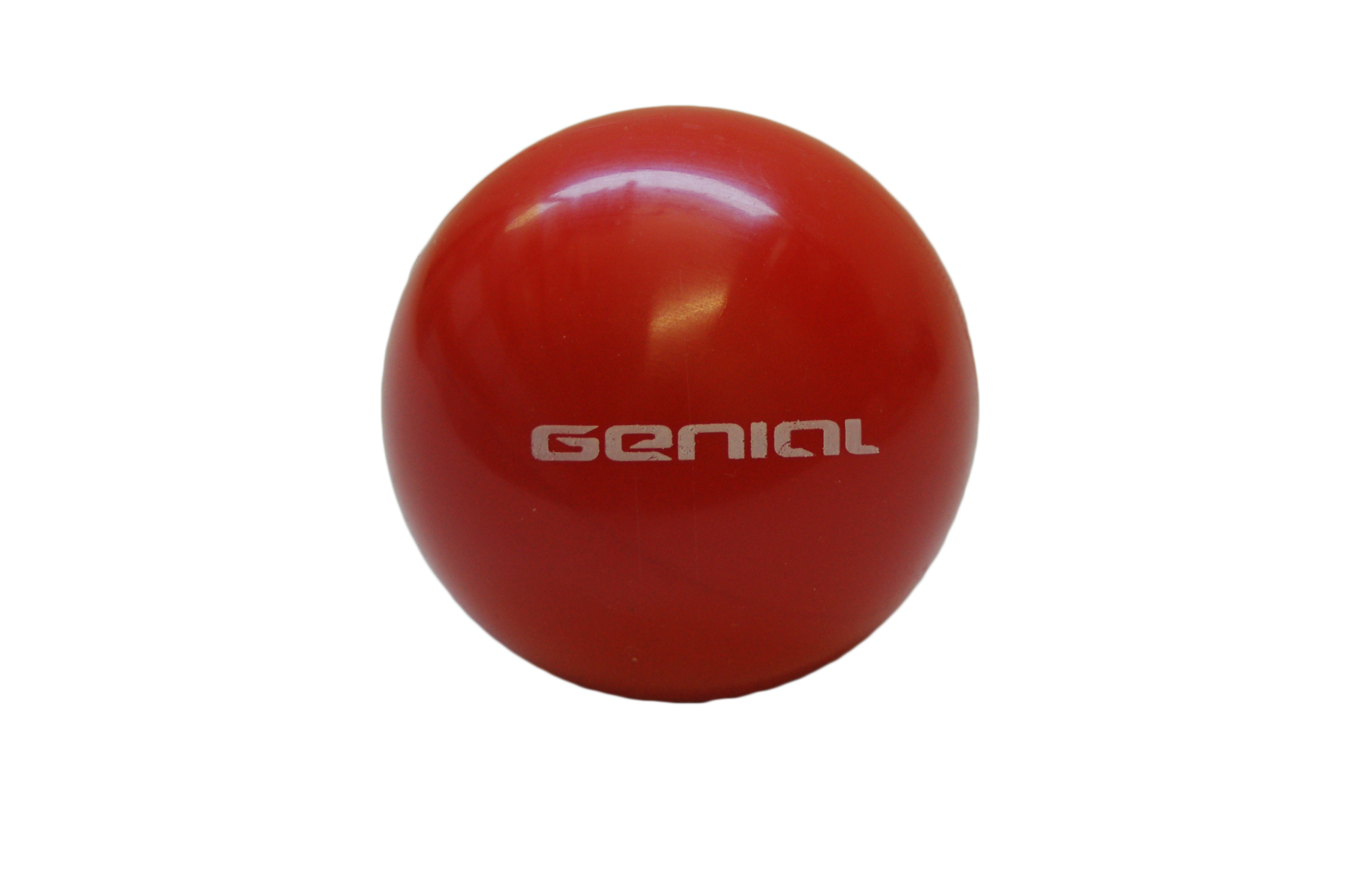 Ball Genial Professional - Item4
