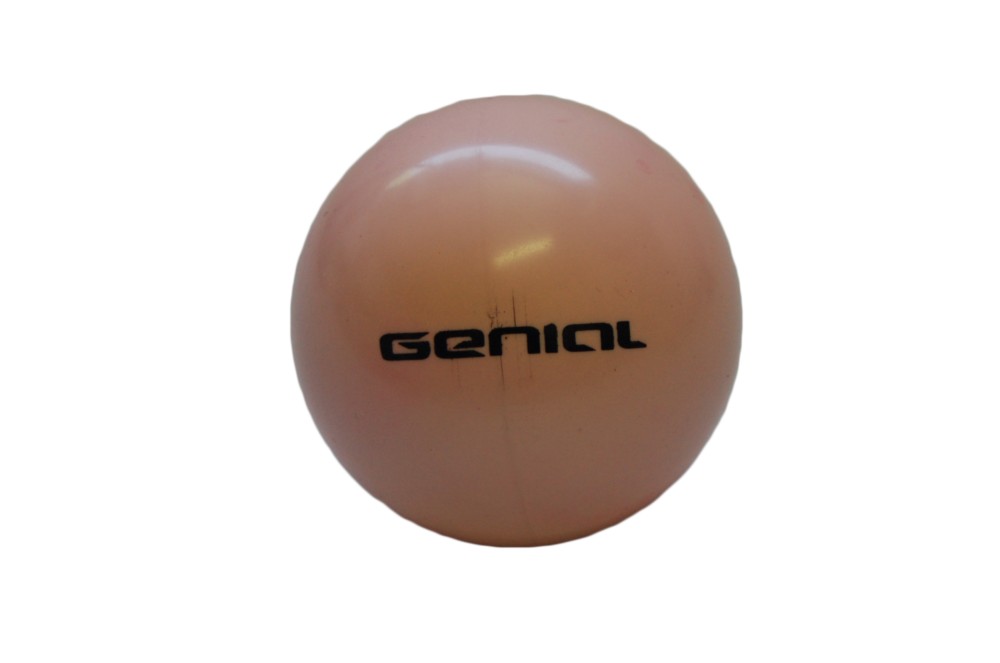 Ball Genial Professional - Item3