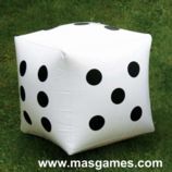 Dado Infláveis 40x40x40cm